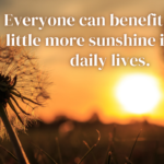 Sunshine Quotes For Inspirational Life