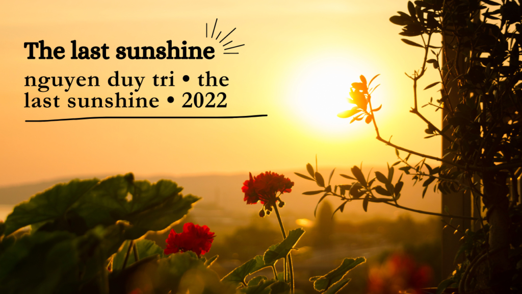The last sunshine nguyen duy tri • the last sunshine • 2022