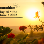 The last sunshine nguyen duy tri • the last sunshine • 2022